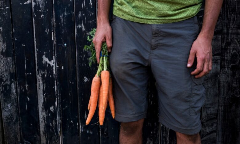 Are Carrots Beneficial in Naturally Male Infertility Treatment