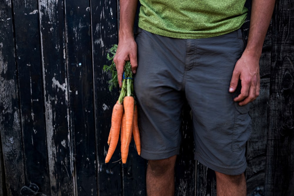 Are Carrots Beneficial in Naturally Male Infertility Treatment