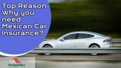 Photo of Top Reason Why you need Mexican Car Insurance?