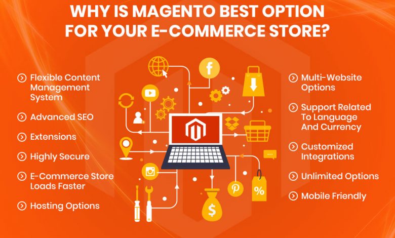 WHAT MAKES MAGENTO THE MOST POPULAR E-COMMERCE PLATFORM?