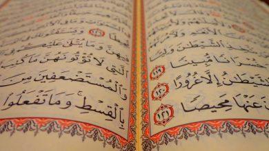 Photo of How To Pace Up Your Quran Memorization Speed