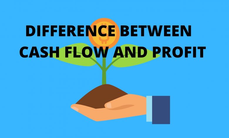 Difference between cash flow and profit