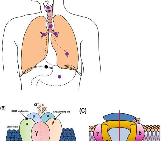 post-nasal-drip-symptoms-and-treatment-to-cure-it