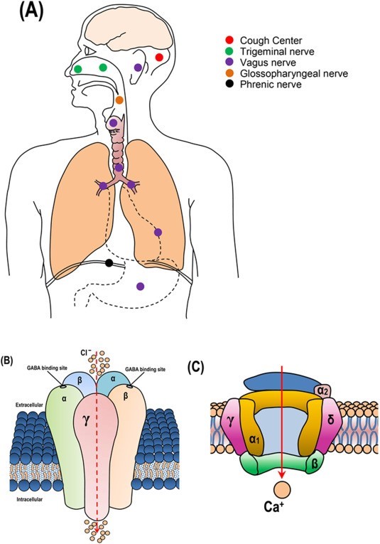 Post Nasal Drip