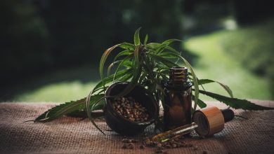 Photo of What are the Benefits of Using CBD Oil?