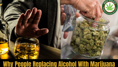 Photo of Why People Replacing Alcohol with Marijuana