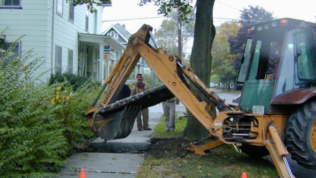 tree services