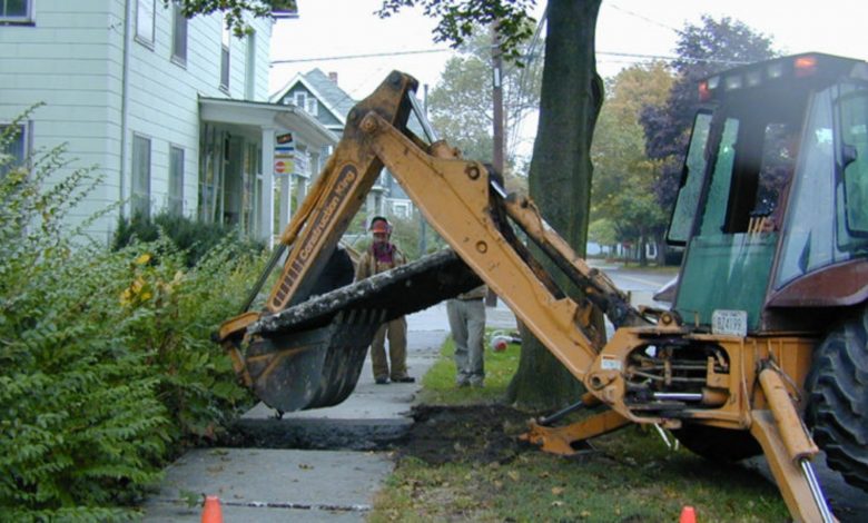 tree services