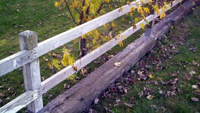 Photo of Choosing The Right Fence For Your Family