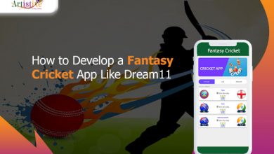 Photo of How to Develop a Fantasy Cricket App Like Dream11