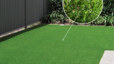 Photo of 6 Benefits of Using Artificial Turf Grass