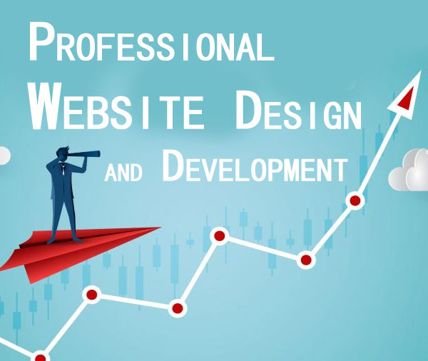 Website Development Agency