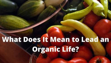 Photo of What Does It Mean to Lead an Organic Living?