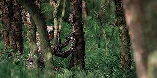 Photo of PICKING THE RIGHT TREESTAND