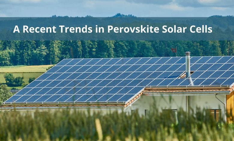 Perovskite Solar Cells