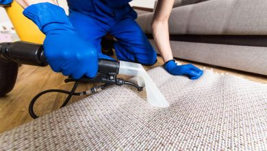 Photo of An Important Carpet Cleaning Advice
