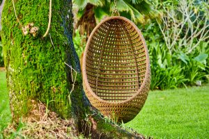 swing nest in garden