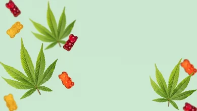 Photo of CBD Oil vs CBD Gummies Which one is best for You?