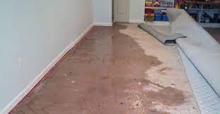 Photo of Benefits of Swaying Pro Team for Flood Damage Carpet Drying