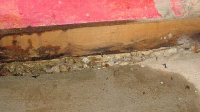Photo of How to tell if a slab leak is affecting your home?