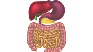 Photo of Digestion issues and solution