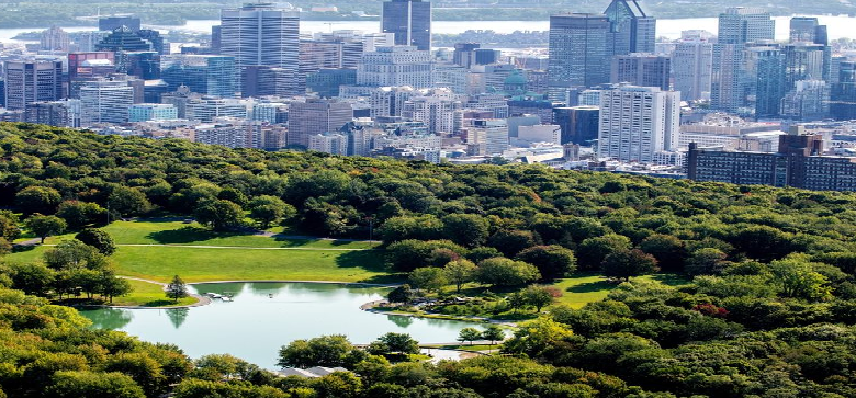 mont-royal park