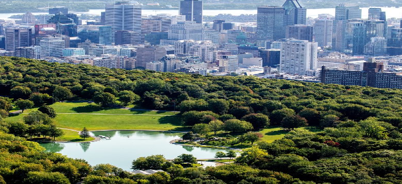 mont-royal park