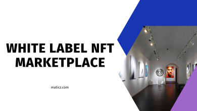 Photo of White Label NFT Marketplace Development