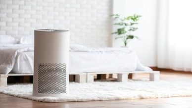 Photo of Which are the Best Air Purifiers under 10k?