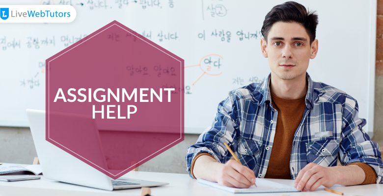 Assignment Help usa