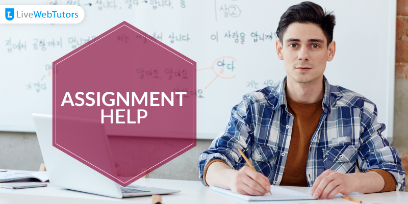 Assignment Help usa