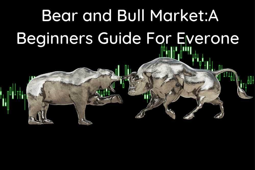 Bear and Bull MarketA Beginners Guide For Everone