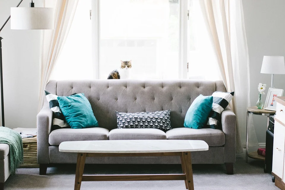 sofa bed