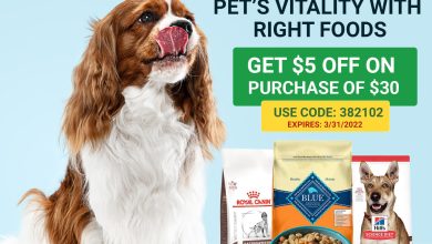 Photo of Why Choose Hill’s Pet Foods For Your Pet’s Health & Happiness