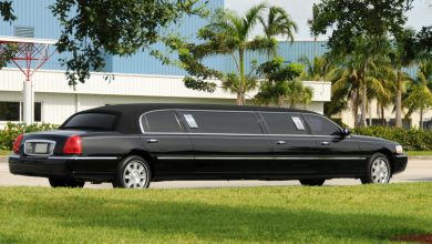 Photo of How To Choose Limousine Tours Washington D.C. Tips Guide You To The Best Limousine Service