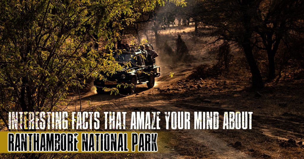 Ranthambore-National-Park | Holiday Packages