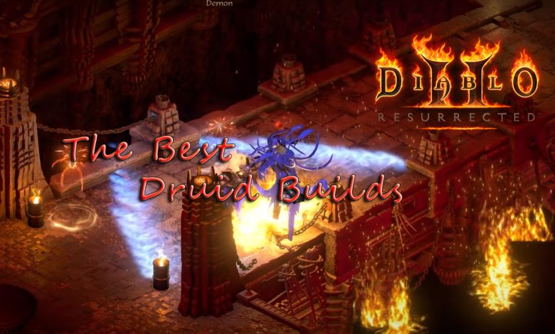 The Best Druid Builds In Diablo 2 Resurrected