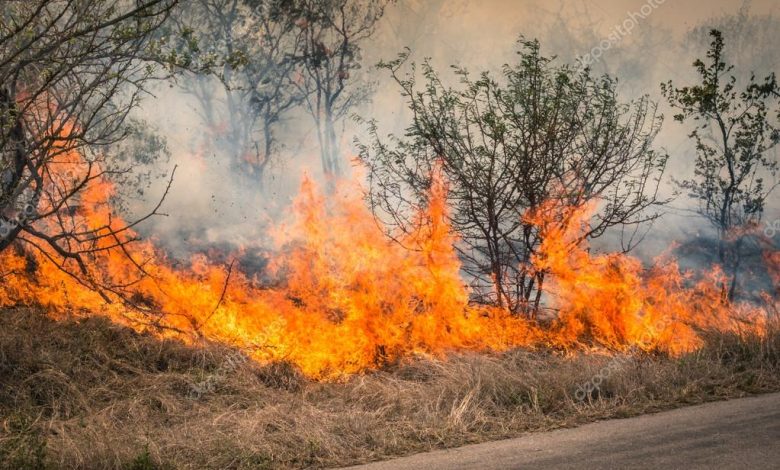 bushfire in australia