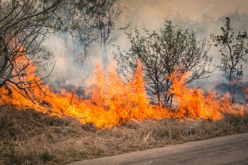 bushfire in australia