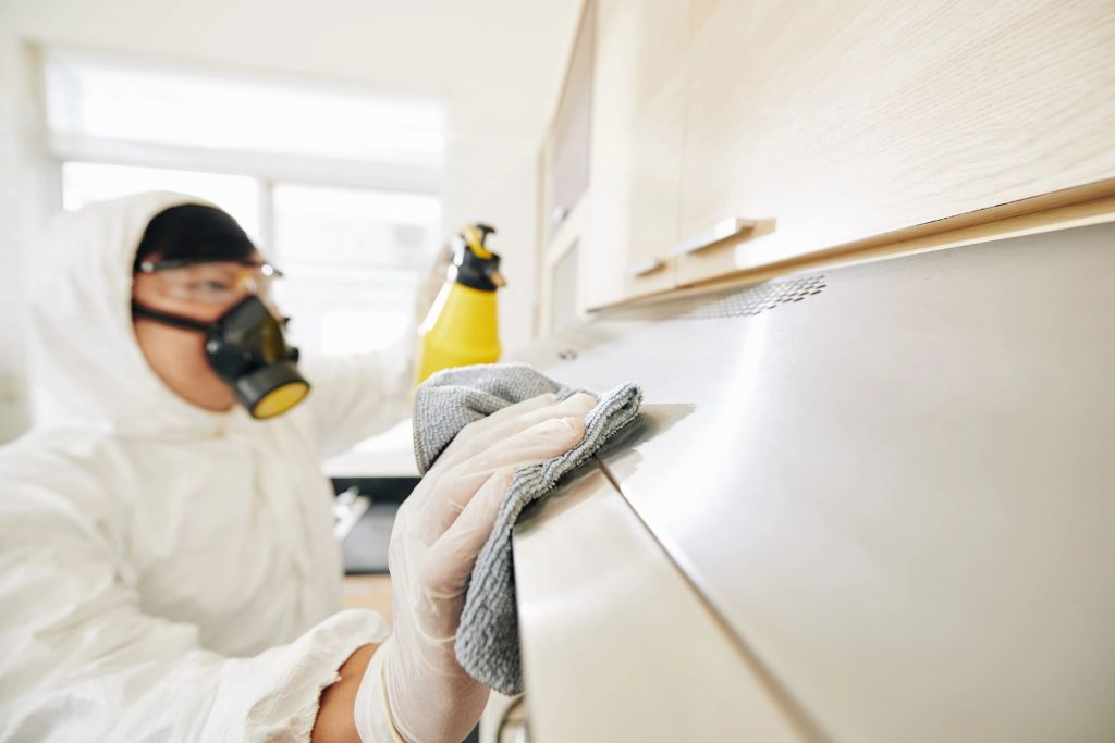 mold remediation Orlando