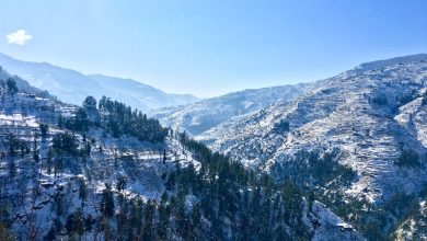 Photo of Top 5 Places to Visit in Shimla