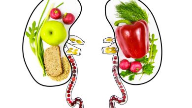 Photo of The Most Well Founded Supplements That Make Your Kidneys Work Better