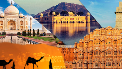 Photo of What are the top places to visit near Jaipur?