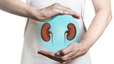 Photo of Is Ayurvedic Treatment Good for Kidneys?