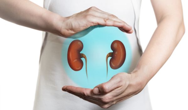 Is Ayurvedic Treatment Good for Kidneys?