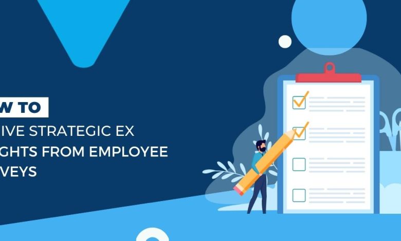 employee insights