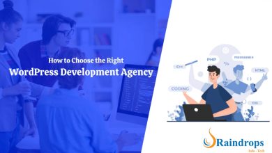 Photo of How to choose a web development company for your WordPress website?