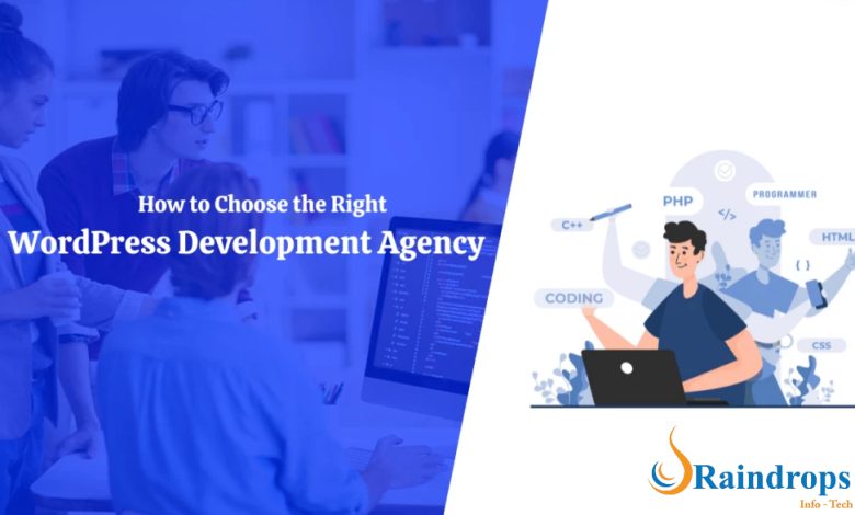 How to choose a web development company for your WordPress website?