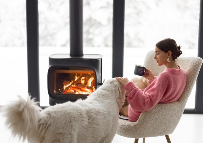 Ten ways to keep your pet warm during winter