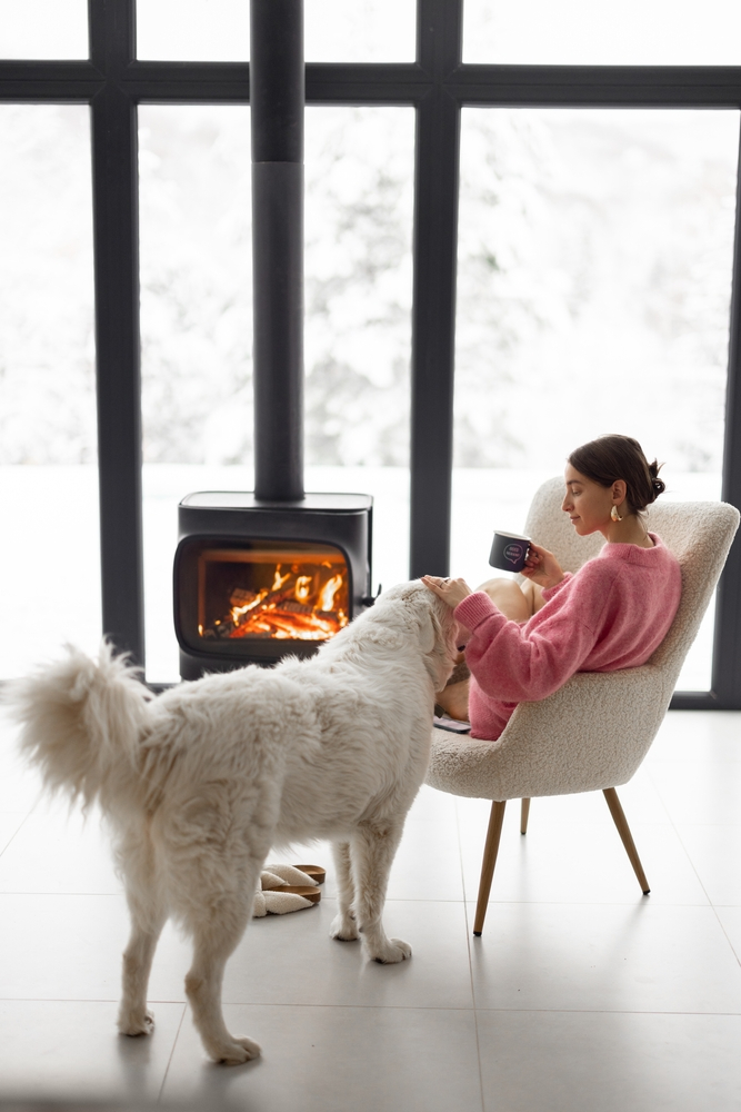 Ten ways to keep your pet warm during winter